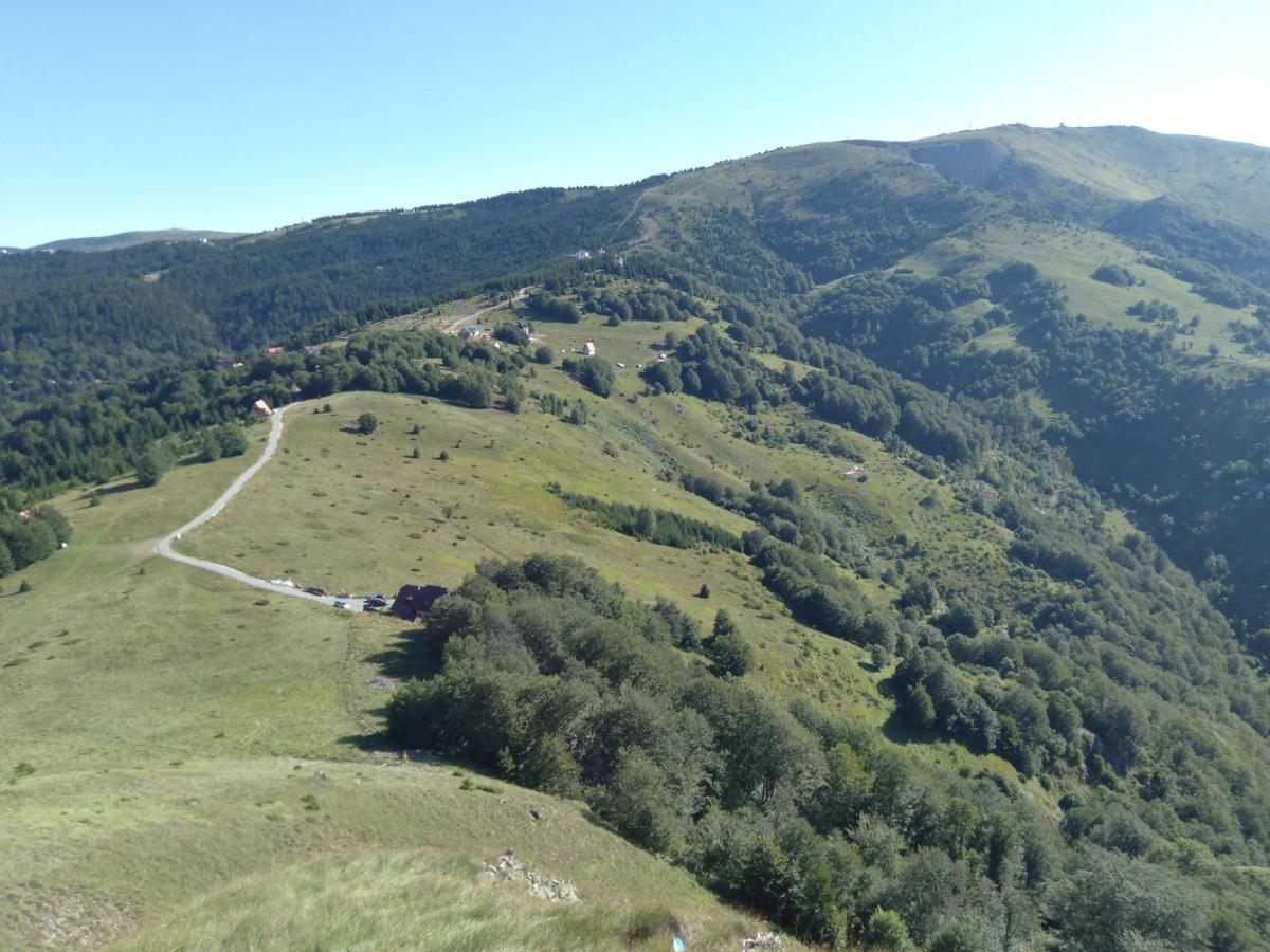 Vikendica Vila Despotovic Kopaonik Extérieur photo
