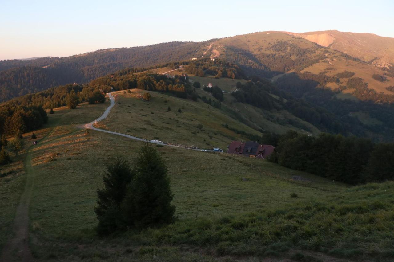 Vikendica Vila Despotovic Kopaonik Extérieur photo