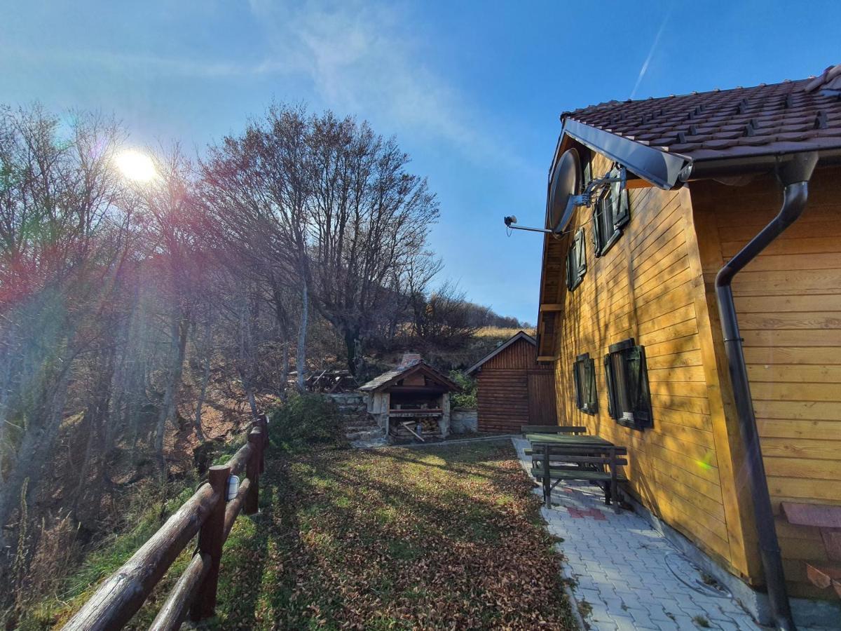 Vikendica Vila Despotovic Kopaonik Extérieur photo