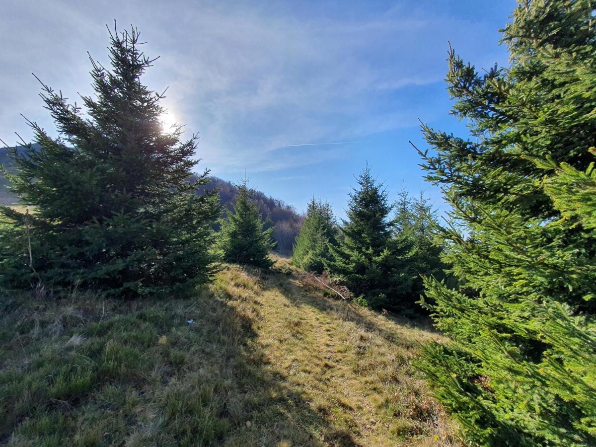 Vikendica Vila Despotovic Kopaonik Extérieur photo