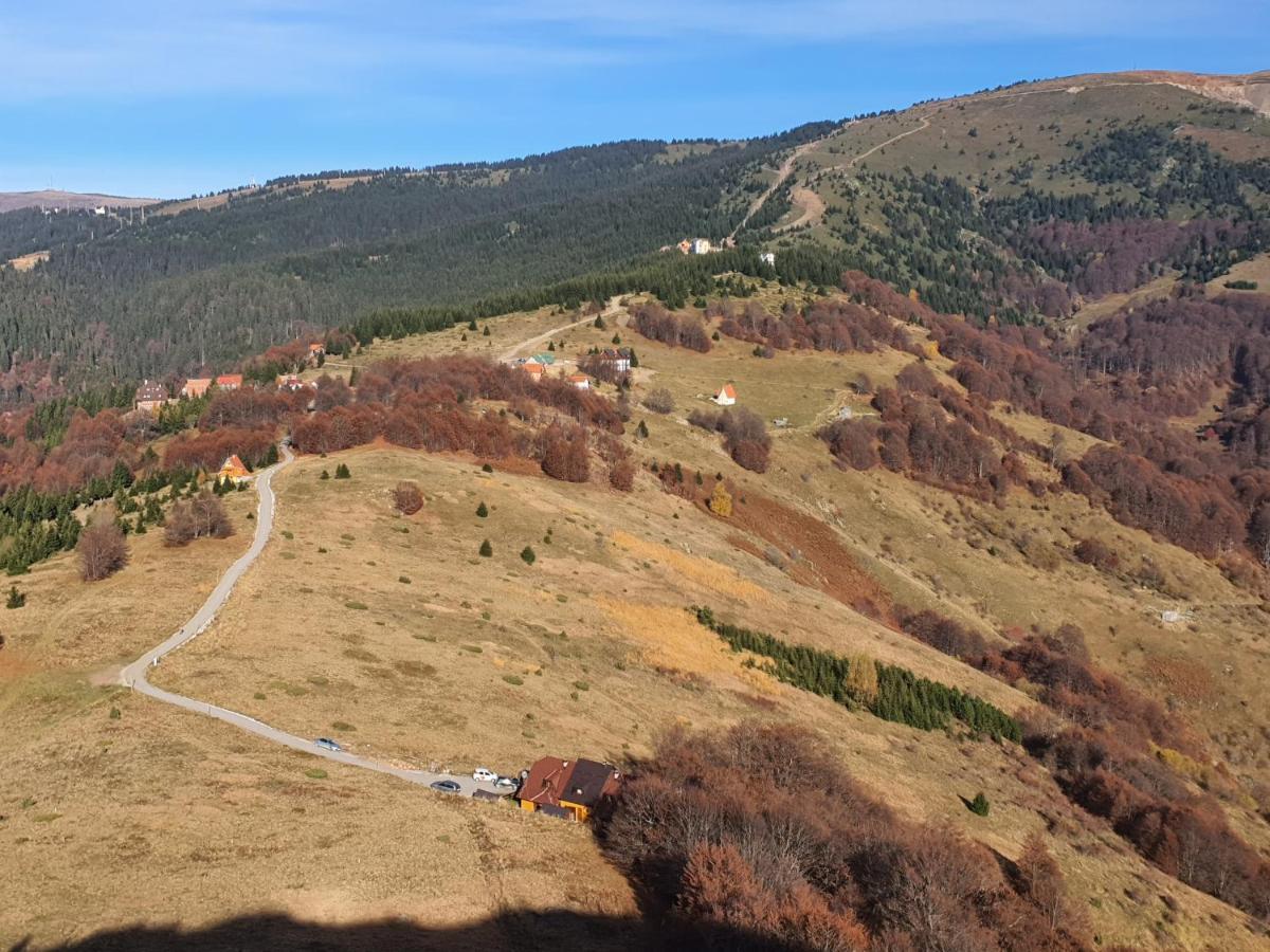 Vikendica Vila Despotovic Kopaonik Extérieur photo