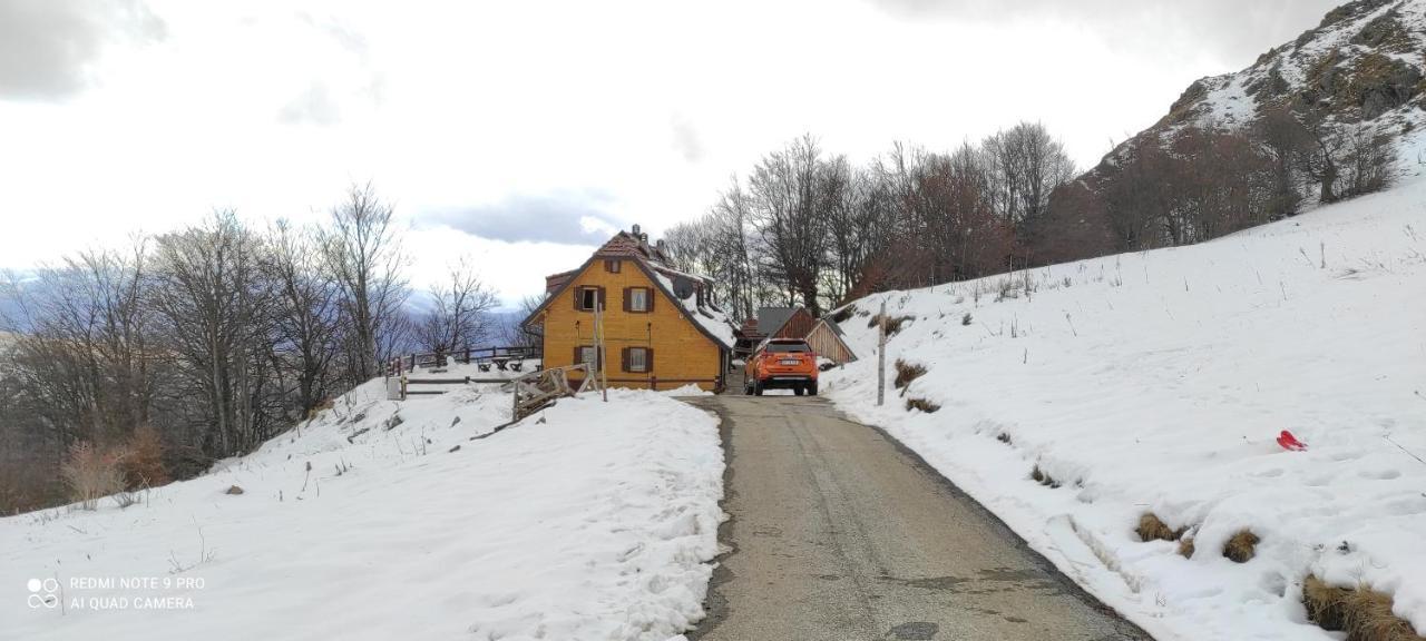Vikendica Vila Despotovic Kopaonik Extérieur photo