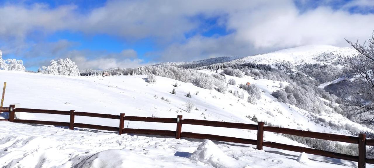 Vikendica Vila Despotovic Kopaonik Extérieur photo