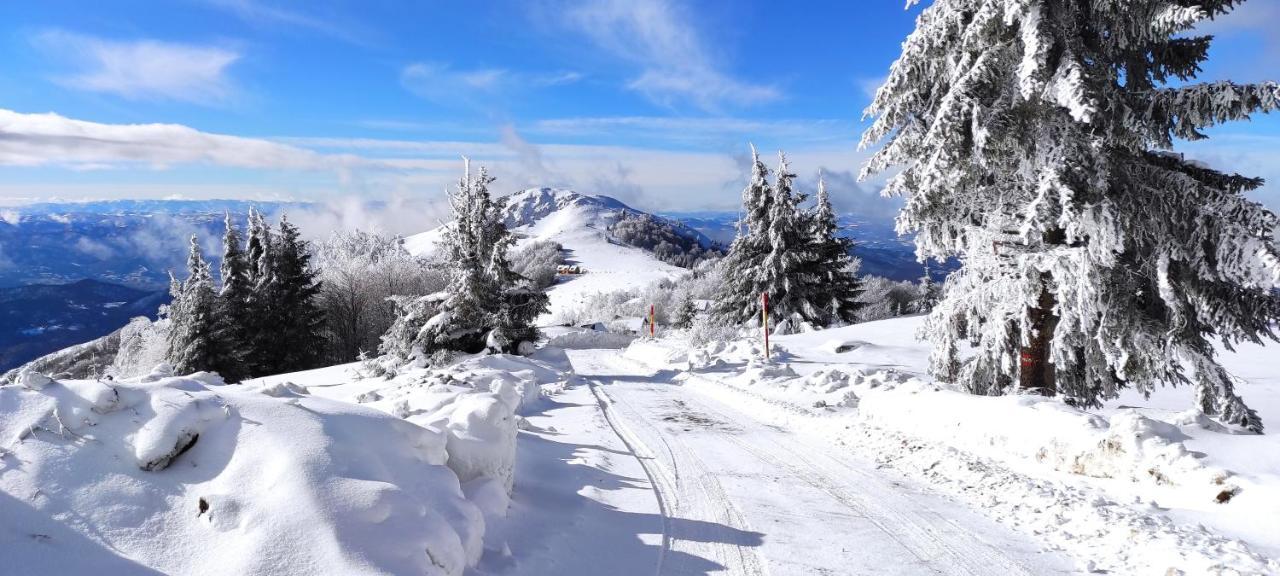 Vikendica Vila Despotovic Kopaonik Extérieur photo