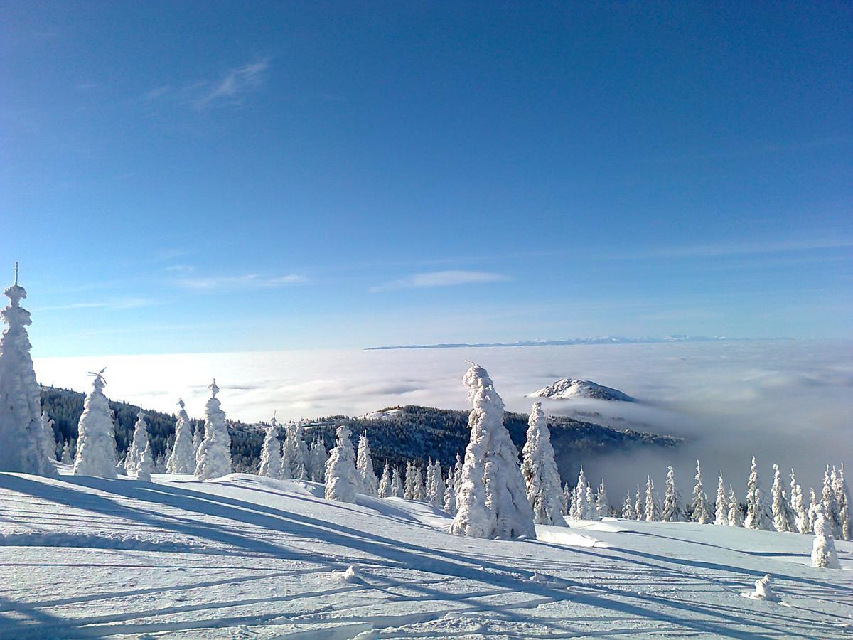 Vikendica Vila Despotovic Kopaonik Extérieur photo