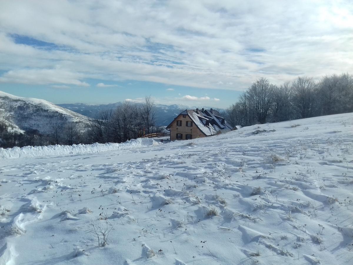 Vikendica Vila Despotovic Kopaonik Extérieur photo
