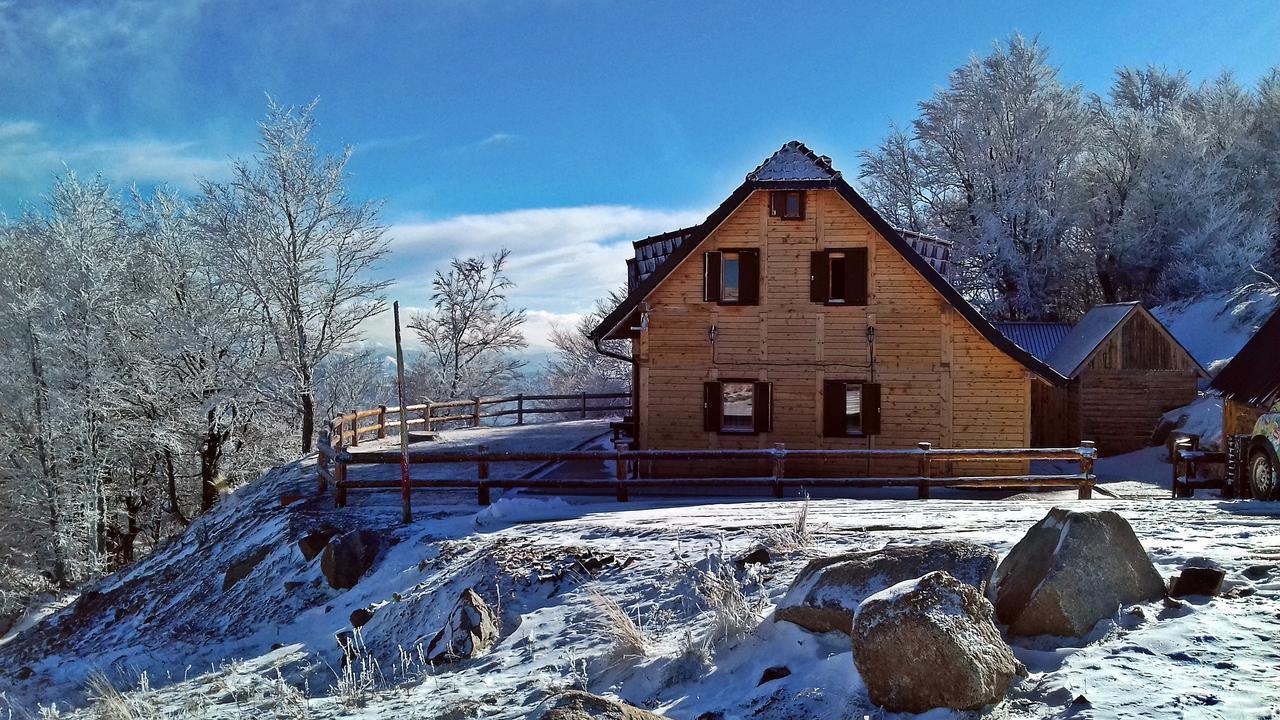 Vikendica Vila Despotovic Kopaonik Extérieur photo