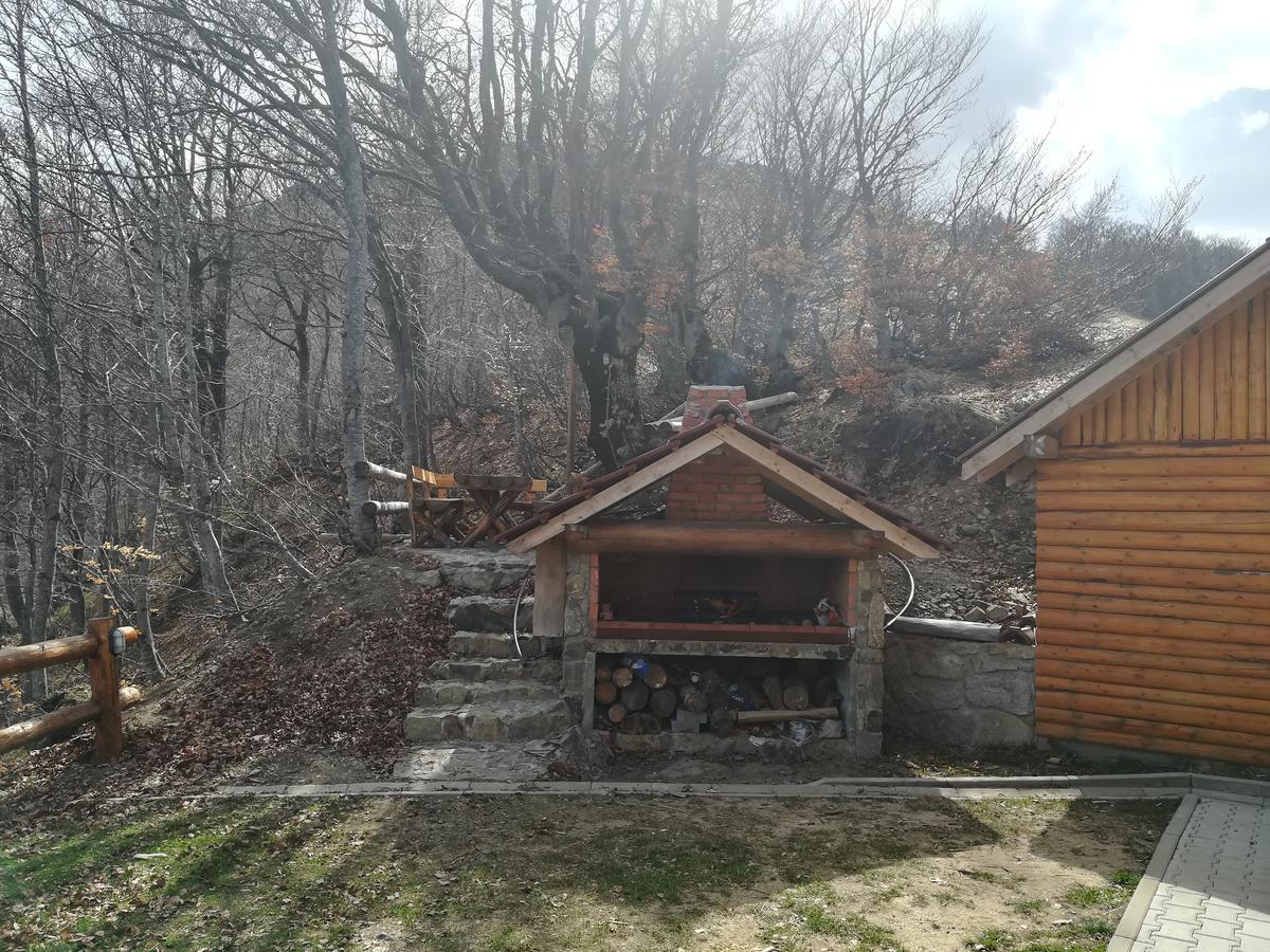 Vikendica Vila Despotovic Kopaonik Extérieur photo