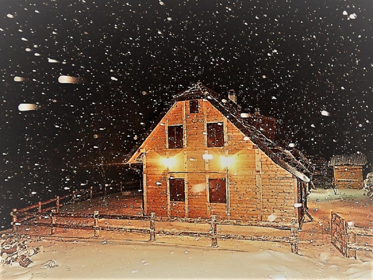 Vikendica Vila Despotovic Kopaonik Extérieur photo