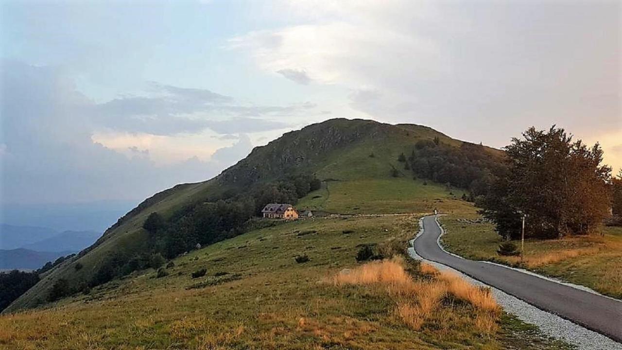 Vikendica Vila Despotovic Kopaonik Extérieur photo